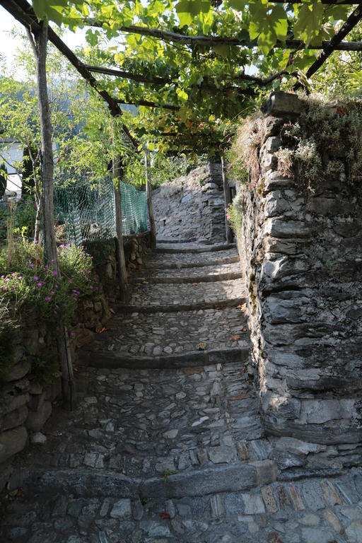 Casa Flora Διαμέρισμα Verdabbio Εξωτερικό φωτογραφία